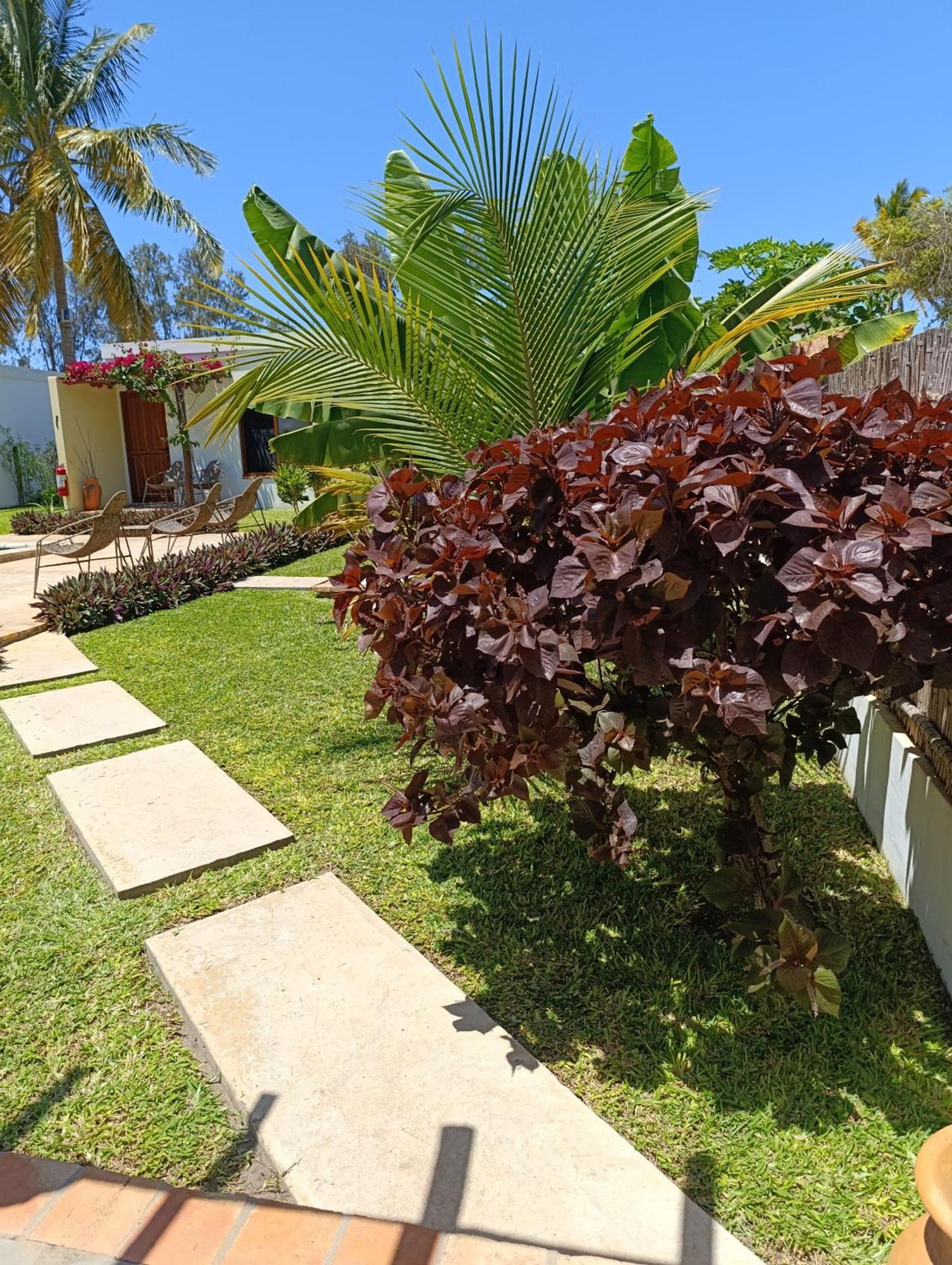 Telvina Beach Lodge Vilanculos Eksteriør bilde