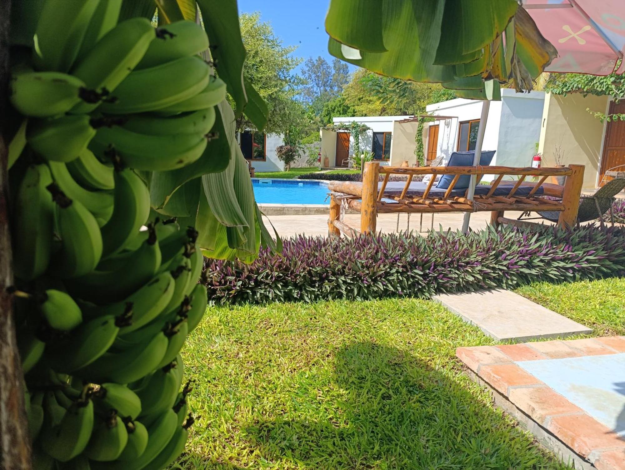 Telvina Beach Lodge Vilanculos Eksteriør bilde